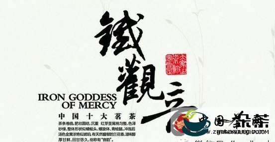 铁观音白皮书(铁观音一级)