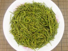 安吉白茶专题